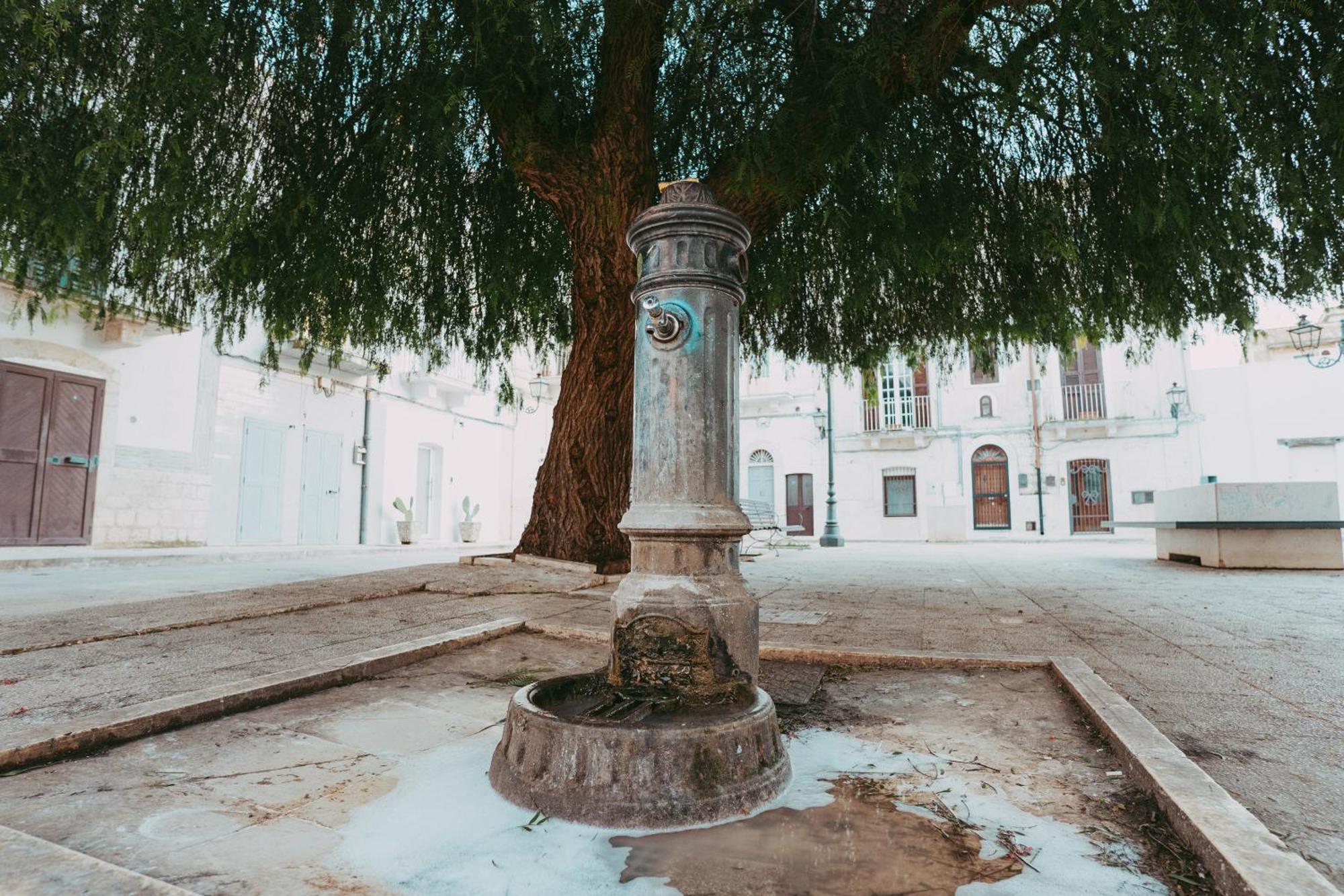 Casa Pagano Villa Noicàttaro Buitenkant foto