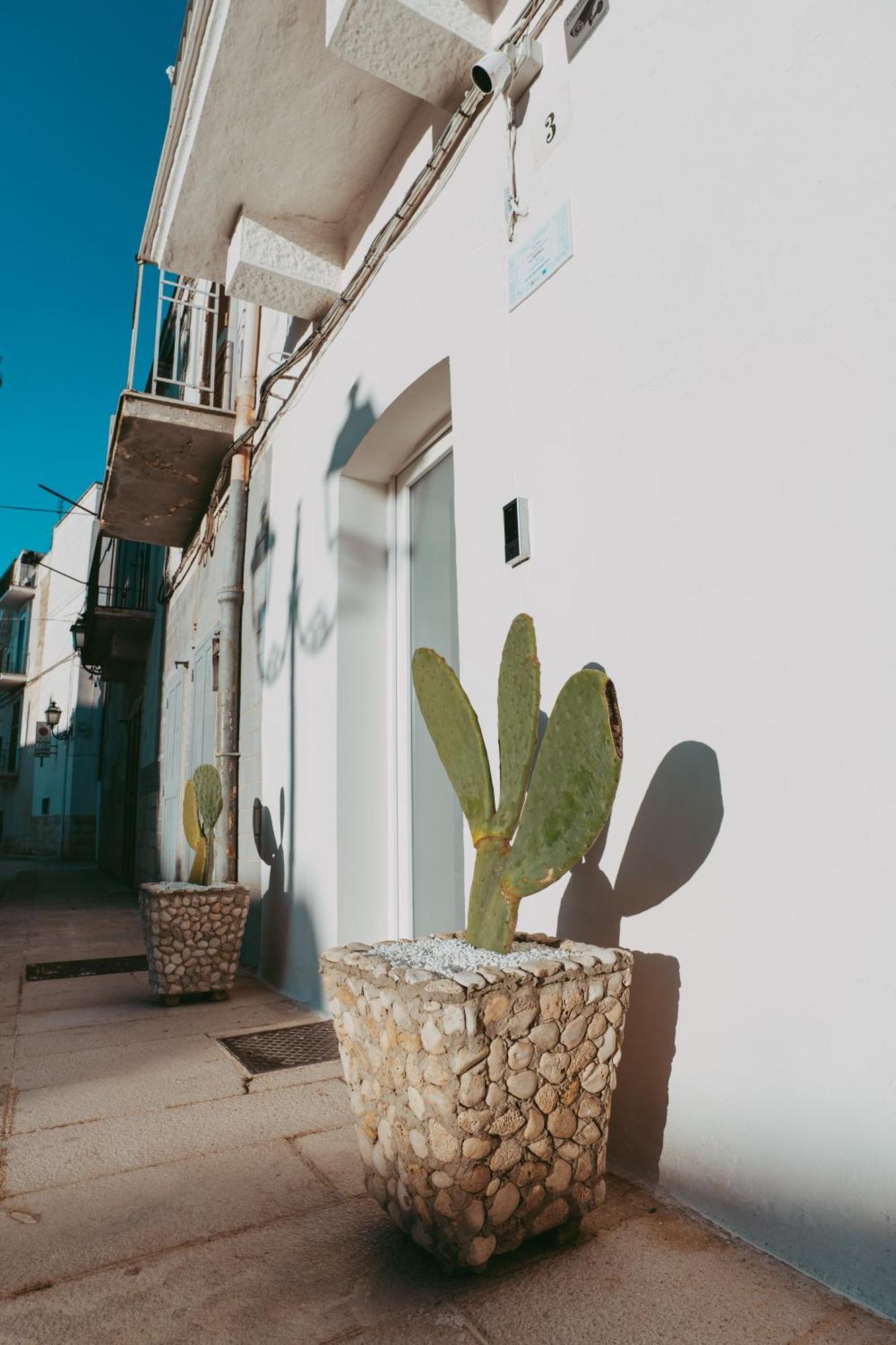 Casa Pagano Villa Noicàttaro Buitenkant foto
